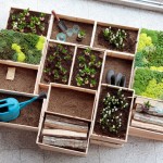 29052012-found-muji04-2dmblogazine