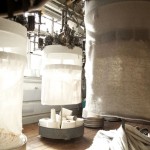 merz-schwanen-06-blogazine-22-07-2012