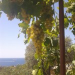 4-bruna-kazinoti-summer2012-theblogazine