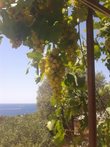 4-bruna-kazinoti-summer2012-theblogazine