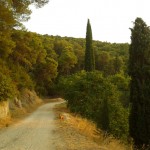 7-bruna-kazinoti-summer2012-theblogazine