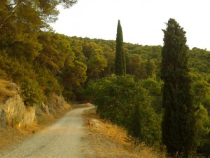 7-bruna-kazinoti-summer2012-theblogazine