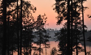 naja-conrad-theblogazine-summer-4