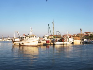 pasman-rujana-3