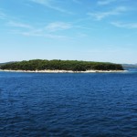 pasman-rujana-4