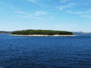 pasman-rujana-4