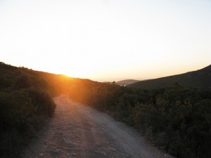 pasman-rujana-7