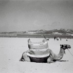 summer2012-theblogazine-8