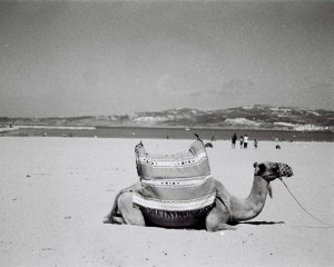 summer2012-theblogazine-8