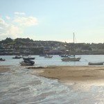 tamsin-cook-devon-theblogazine