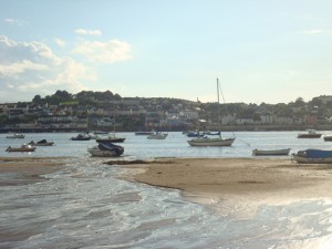 tamsin-cook-devon-theblogazine