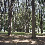 the-blogazine-forlanini-20120816