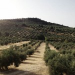 the-blogazine-vicky-trombetta-andalucia-05