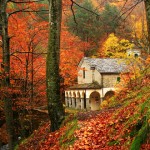theblogazine-bologna-20121019-1