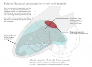 theblogazine-pregnancy-1-20121010