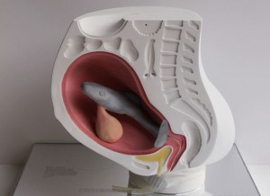 theblogazine-pregnancy-2-20121010