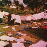 theblogazine-sustainability-20121101-1