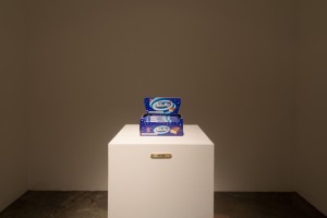 TheBlogazine_KW_Feldmann_20121121