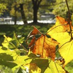 theblogazine-newyork-travel-6