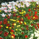 heblogazine-london-parks-20130315