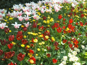 heblogazine-london-parks-20130315