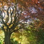 heblogazine-london-parks-20130315-4