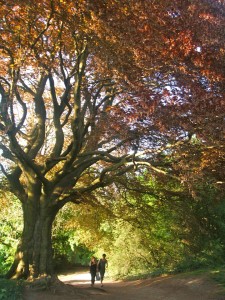 heblogazine-london-parks-20130315-4