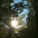 heblogazine-london-parks-20130315-5