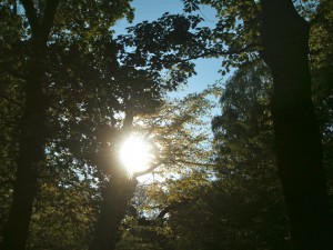 heblogazine-london-parks-20130315-5