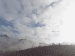 the-blogazine-20130403-stefano-tripodi-11