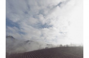 the-blogazine-20130403-stefano-tripodi-11