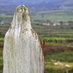 theblogazine-dingle-ireland
