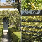 the-blogazine-gardens-of-sevilla-1