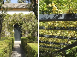 the-blogazine-gardens-of-sevilla-1