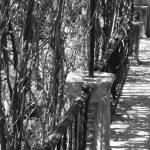 the-blogazine-gardens-of-sevilla-6