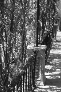 the-blogazine-gardens-of-sevilla-6