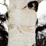 when a phantasy object enters reality_06