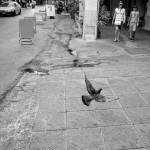 The-Blogazine-20130531-Athens-Mehran-Khalili-2