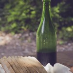 the-blogazine-201305-hidden-beach-7