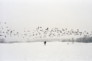 the-blogazine-20130502-peter-sutherland-fotografia-europea-4