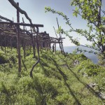 the-blogazine-20130523-countryside-2