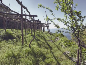 the-blogazine-20130523-countryside-2