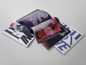 the-blogazine-20130524-homework_dafi-annual-report-1