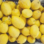 the-blogazine-limoncello-factory-3