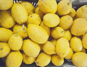 the-blogazine-limoncello-factory-3