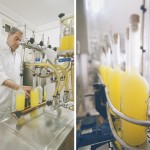 the-blogazine-limoncello-factory-5