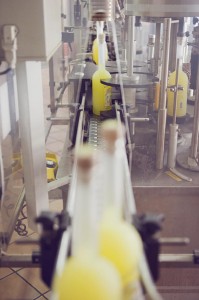 the-blogazine-limoncello-factory-7
