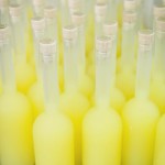 the-blogazine-limoncello-factory-9