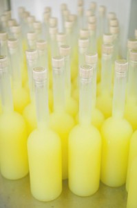 the-blogazine-limoncello-factory-9