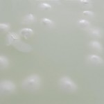 the-blogazine-mozzarella-3